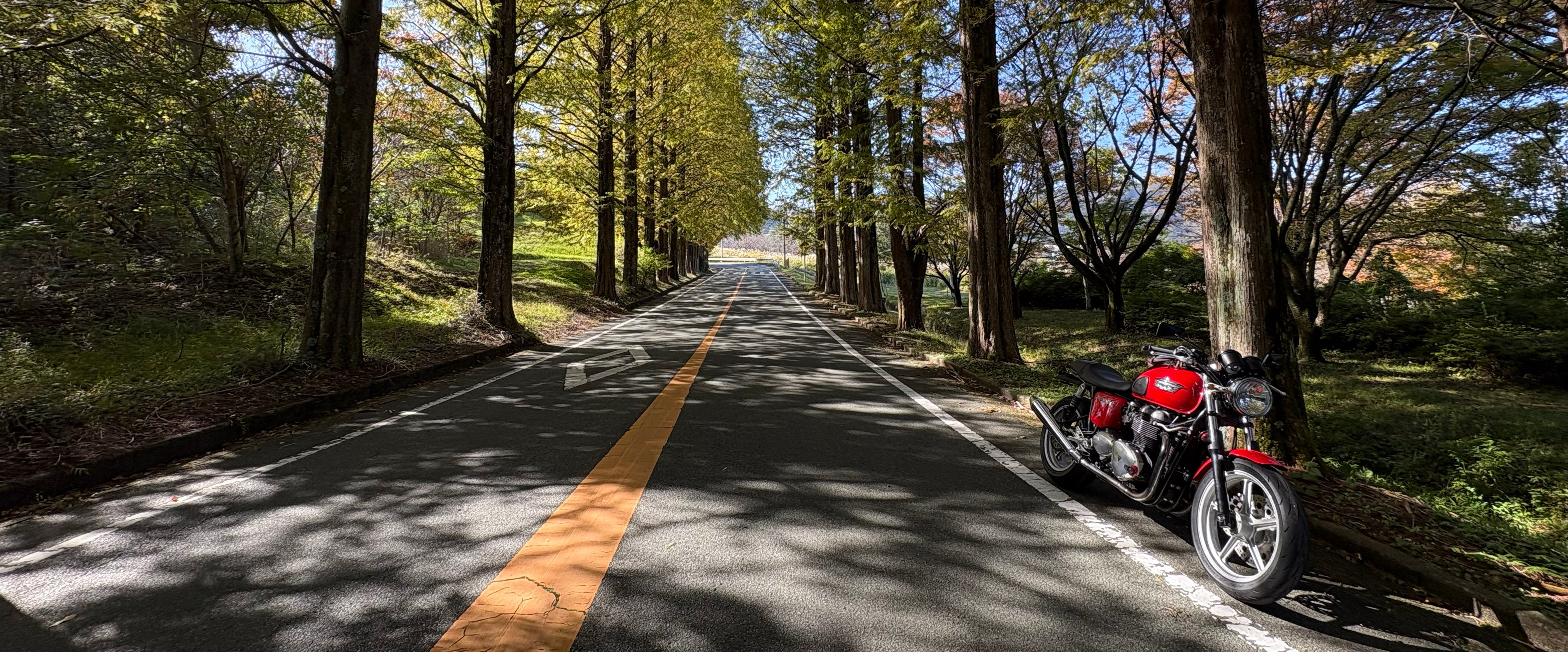 MaxFritz TOSU オンラインストア